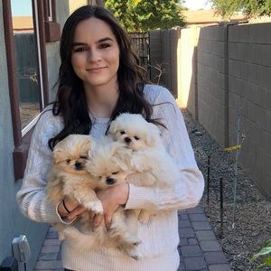 Meet your Posher, Natalie